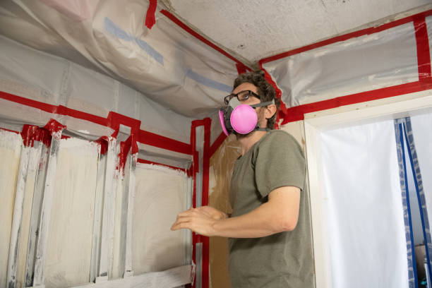 Environmental Consulting for Mold Prevention in South Hooksett, NH